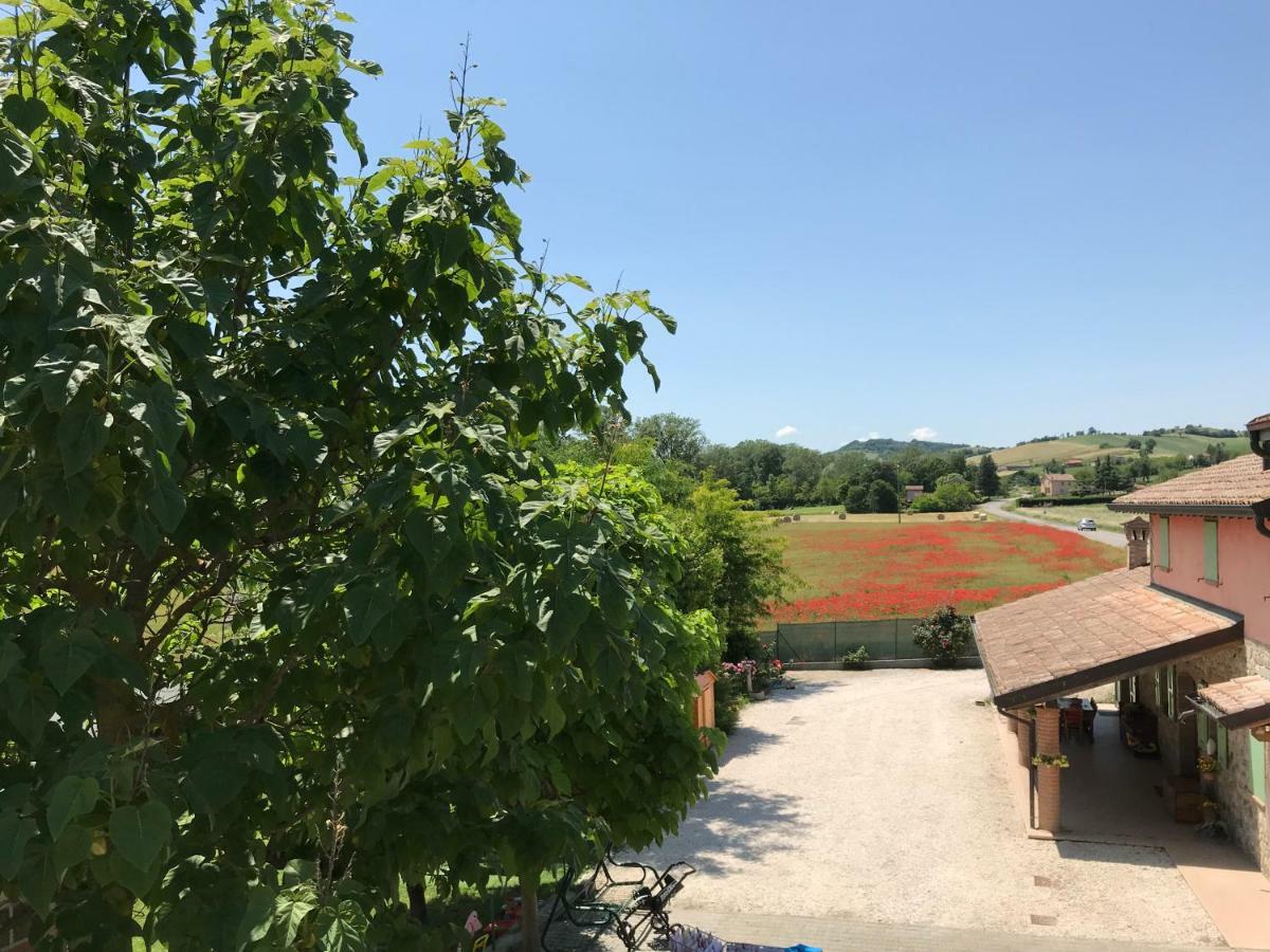 Tra i Campi Di Papaveri Medesano Esterno foto