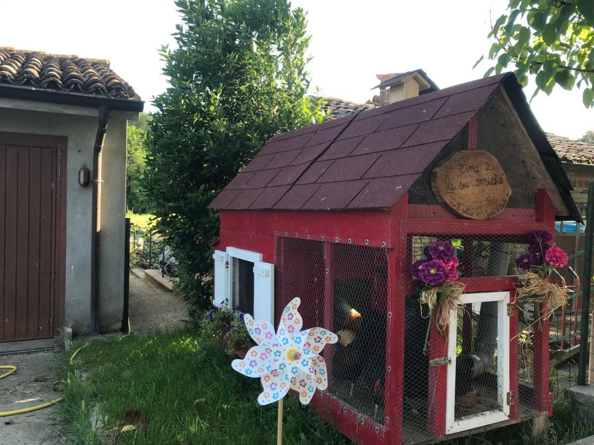 Tra i Campi Di Papaveri Medesano Esterno foto
