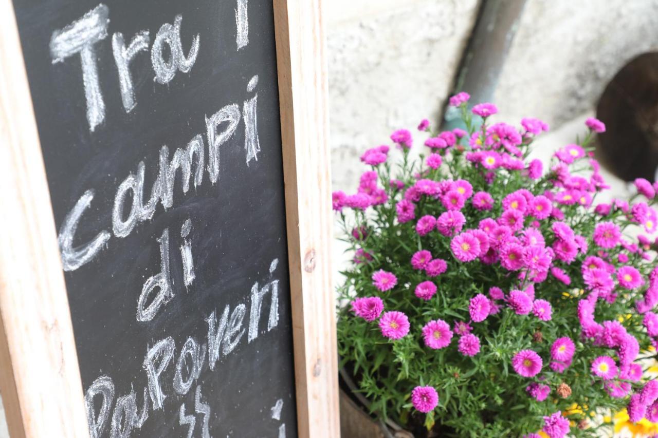 Tra i Campi Di Papaveri Medesano Esterno foto